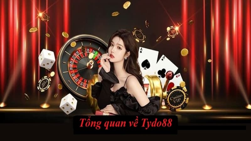 Quyền lợi và nghĩa vụ của các bên tham gia website